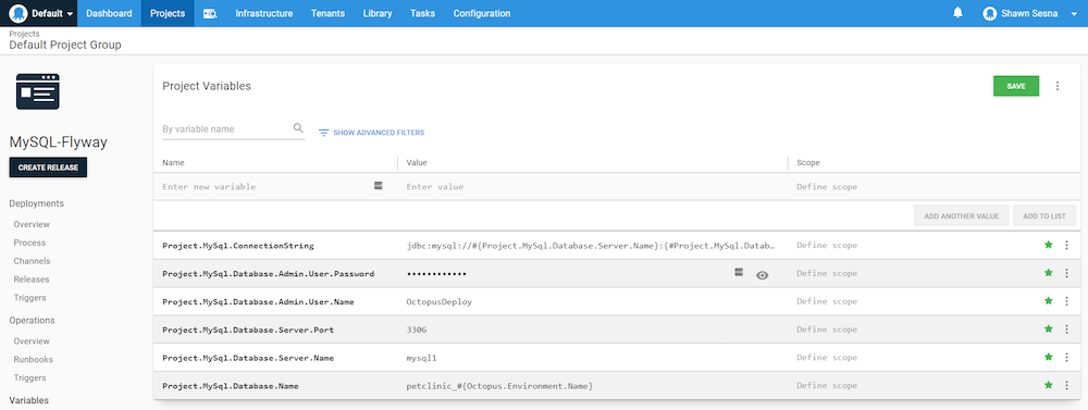 Variables defined in the Octopus Web Portal